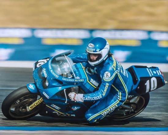toni suzuka.jpg